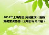 2014年上映趙薇 黃渤主演（趙薇黃渤主演的是什么電影簡(jiǎn)介介紹）