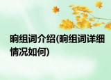 晌組詞介紹(晌組詞詳細(xì)情況如何)