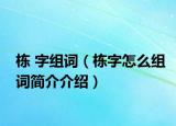 棟 字組詞（棟字怎么組詞簡介介紹）