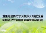 衛(wèi)生間墻磚尺寸大概多大介紹(衛(wèi)生間墻磚尺寸大概多大詳細(xì)情況如何)