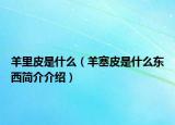 羊里皮是什么（羊塞皮是什么東西簡介介紹）