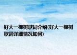 好大一棵樹歌詞介紹(好大一棵樹歌詞詳細情況如何)