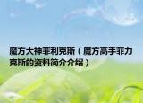 魔方大神菲利克斯（魔方高手菲力克斯的資料簡介介紹）