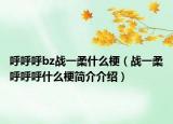 呼呼呼bz戰(zhàn)一柔什么梗（戰(zhàn)一柔呼呼呼什么梗簡介介紹）