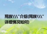 羯族\