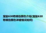 寶駿630有哪些顏色介紹(寶駿630有哪些顏色詳細情況如何)