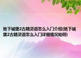 地下城堡2古精靈語怎么入門介紹(地下城堡2古精靈語怎么入門詳細(xì)情況如何)