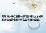 胡軍和小宋佳演的一部電影叫什么（胡軍和宋佳演的電影叫什么名字簡介介紹）