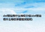 dnf黑鉆有什么特權(quán)介紹(dnf黑鉆有什么特權(quán)詳細(xì)情況如何)