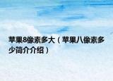 蘋果8像素多大（蘋果八像素多少簡介介紹）
