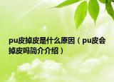 pu皮掉皮是什么原因（pu皮會(huì)掉皮嗎簡(jiǎn)介介紹）