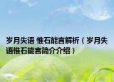 歲月失語 惟石能言解析（歲月失語惟石能言簡介介紹）