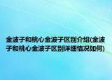 金波子和桃心金波子區(qū)別介紹(金波子和桃心金波子區(qū)別詳細(xì)情況如何)