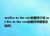 set(fire to the rain的翻譯介紹 set fire to the rain的翻譯詳細(xì)情況如何)