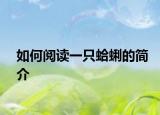 如何閱讀一只蛤蜊的簡介