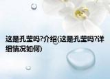 這是孔瑩嗎?介紹(這是孔瑩嗎?詳細(xì)情況如何)