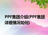 PPF集團(tuán)介紹(PPF集團(tuán)詳細(xì)情況如何)
