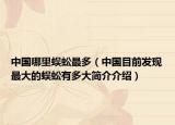 中國哪里蜈蚣最多（中國目前發(fā)現(xiàn)最大的蜈蚣有多大簡介介紹）