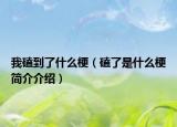 我磕到了什么梗（磕了是什么梗簡介介紹）