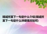 精誠所至下一句是什么介紹(精誠所至下一句是什么詳細(xì)情況如何)