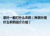 茶葉一般打什么農(nóng)藥（種茶葉用什么農(nóng)藥簡介介紹）