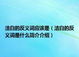 潔白的反義詞應(yīng)該是（潔白的反義詞是什么簡介介紹）