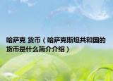 哈薩克 貨幣（哈薩克斯坦共和國的貨幣是什么簡介介紹）