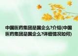 中國(guó)醫(yī)藥集團(tuán)是國(guó)企么?介紹(中國(guó)醫(yī)藥集團(tuán)是國(guó)企么?詳細(xì)情況如何)