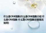 什么是CRB指數(shù)(什么是CRB指數(shù)介紹 什么是CRB指數(shù) 什么是CRB指數(shù)詳細(xì)情況如何)