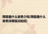 蒟蒻是什么意思介紹(蒟蒻是什么意思詳細(xì)情況如何)