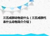 三五成群動(dòng)物是什么（三五成群代表什么動(dòng)物簡(jiǎn)介介紹）