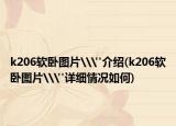 k206軟臥圖片\