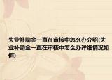 失業(yè)補(bǔ)助金一直在審核中怎么辦介紹(失業(yè)補(bǔ)助金一直在審核中怎么辦詳細(xì)情況如何)