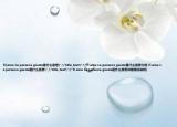 Ti(amo Le persone giuste是什么意思