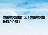 煮豆燃萁是指什么（煮豆燃萁指誰(shuí)簡(jiǎn)介介紹）