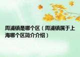 周浦鎮(zhèn)是哪個區(qū)（周浦鎮(zhèn)屬于上海哪個區(qū)簡介介紹）