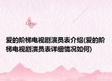 愛的階梯電視劇演員表介紹(愛的階梯電視劇演員表詳細(xì)情況如何)