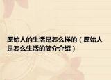 原始人的生活是怎么樣的（原始人是怎么生活的簡(jiǎn)介介紹）