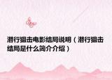 潛行狙擊電影結(jié)局說明（潛行狙擊結(jié)局是什么簡介介紹）