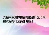 六穩(wěn)六保具體內(nèi)容指的是什么（六穩(wěn)六保指什么簡介介紹）