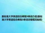 新標準大學英語綜合教程3單詞介紹(新標準大學英語綜合教程3單詞詳細情況如何)
