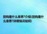 掛鉤是什么意思?介紹(掛鉤是什么意思?詳細(xì)情況如何)