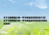 關(guān)于馬麗韓國(guó)分麗一事馬麗是如何回應(yīng)的介紹(關(guān)于馬麗韓國(guó)分麗一事馬麗是如何回應(yīng)的詳細(xì)情況如何)