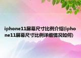 iphone11屏幕尺寸比例介紹(iphone11屏幕尺寸比例詳細(xì)情況如何)