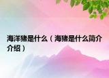 海洋豬是什么（海豬是什么簡介介紹）