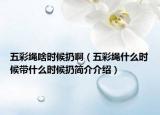 五彩繩啥時候扔?。ㄎ宀世K什么時候帶什么時候扔簡介介紹）