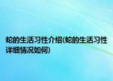 蛇的生活習(xí)性介紹(蛇的生活習(xí)性詳細(xì)情況如何)