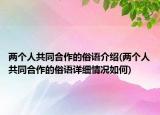 兩個(gè)人共同合作的俗語(yǔ)介紹(兩個(gè)人共同合作的俗語(yǔ)詳細(xì)情況如何)
