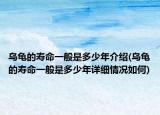 烏龜?shù)膲勖话闶嵌嗌倌杲榻B(烏龜?shù)膲勖话闶嵌嗌倌暝敿?xì)情況如何)