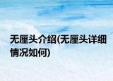 無厘頭介紹(無厘頭詳細情況如何)